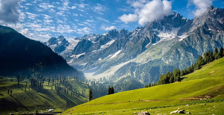 Whispers of Kashmir